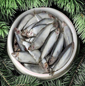 Sprats in Brine 100 gr